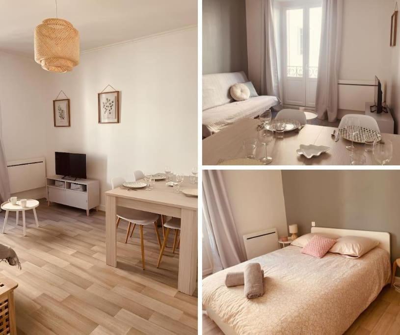 Le Coin Cosy L Balcon Castres (Tarn) Exterior foto